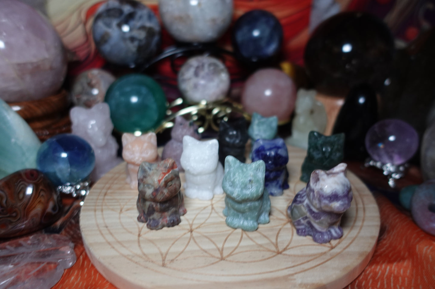 Cat Carvings