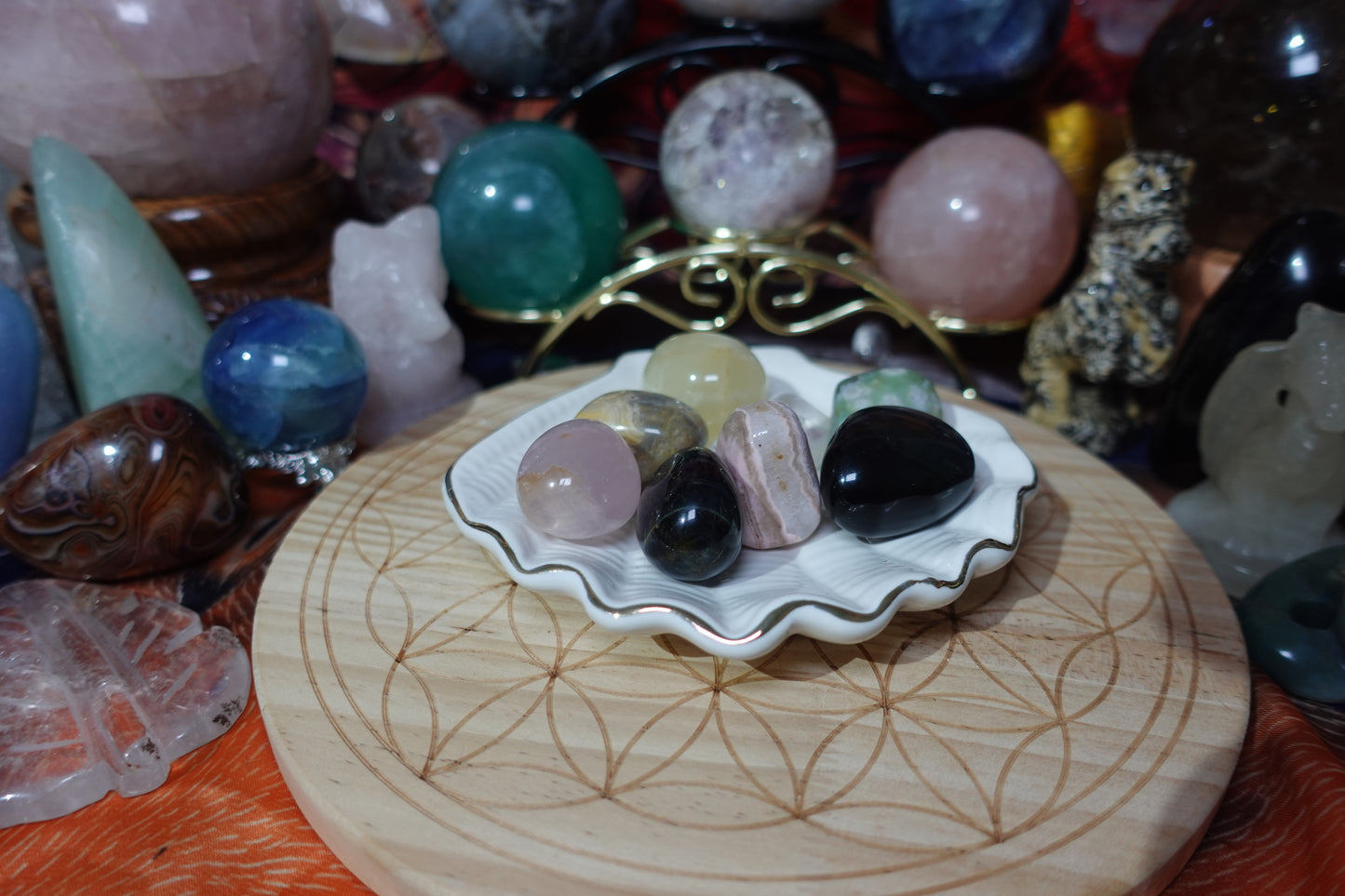 Shell Plate