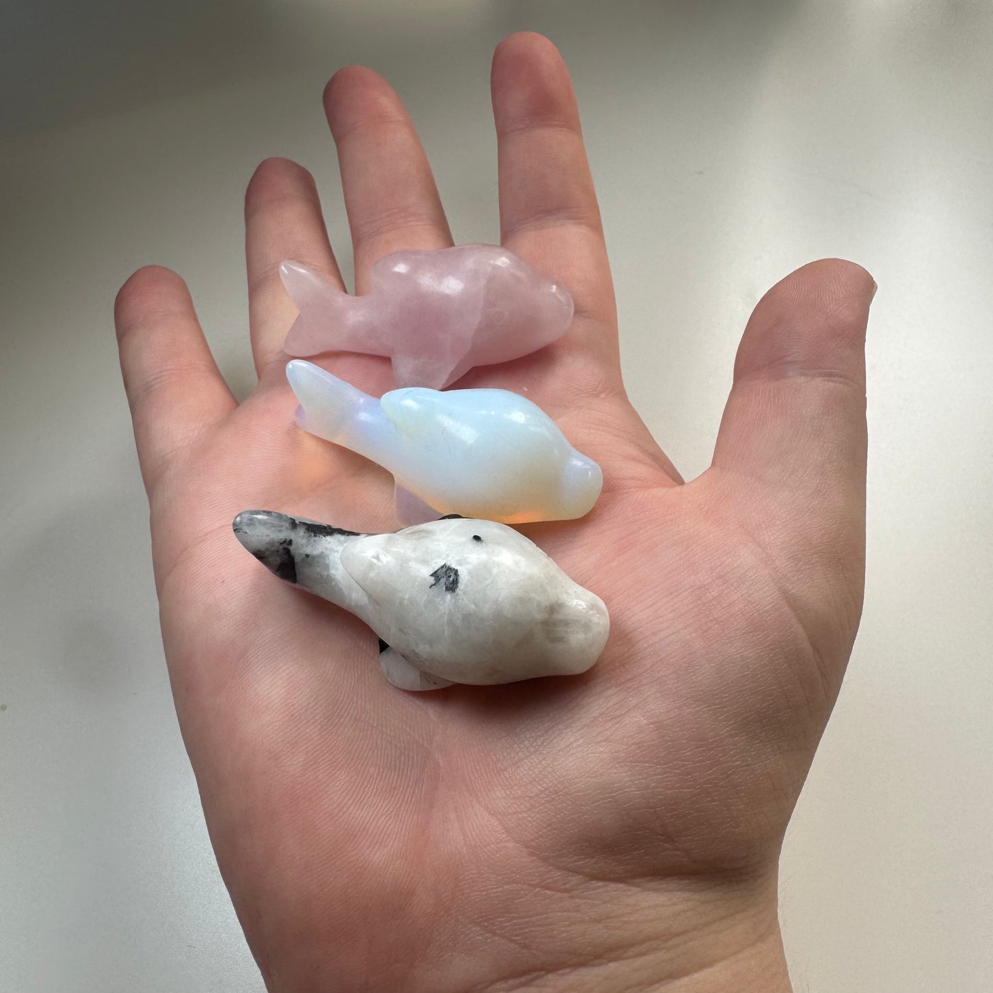 Small Dolphin Carvings