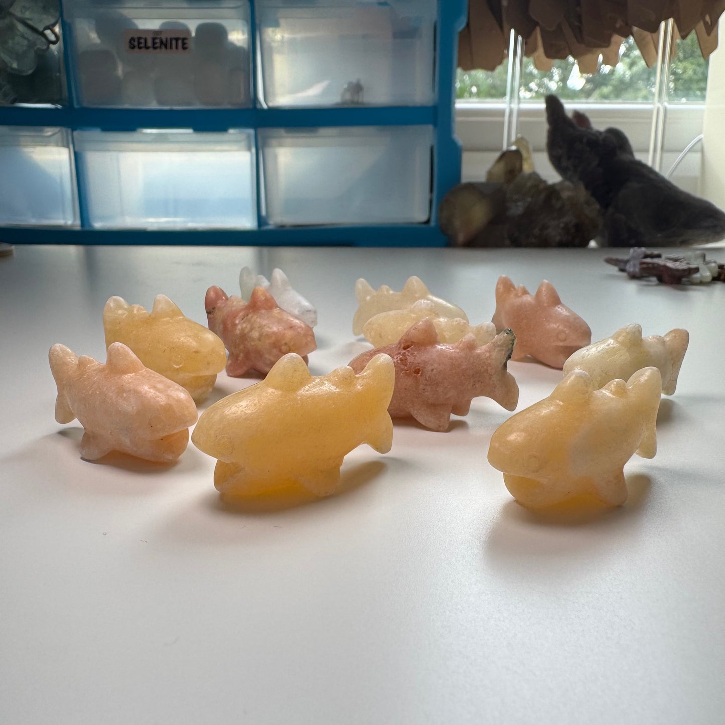 Mixed Carvings - Fish, Dragonfly, Seahorse, Sharks