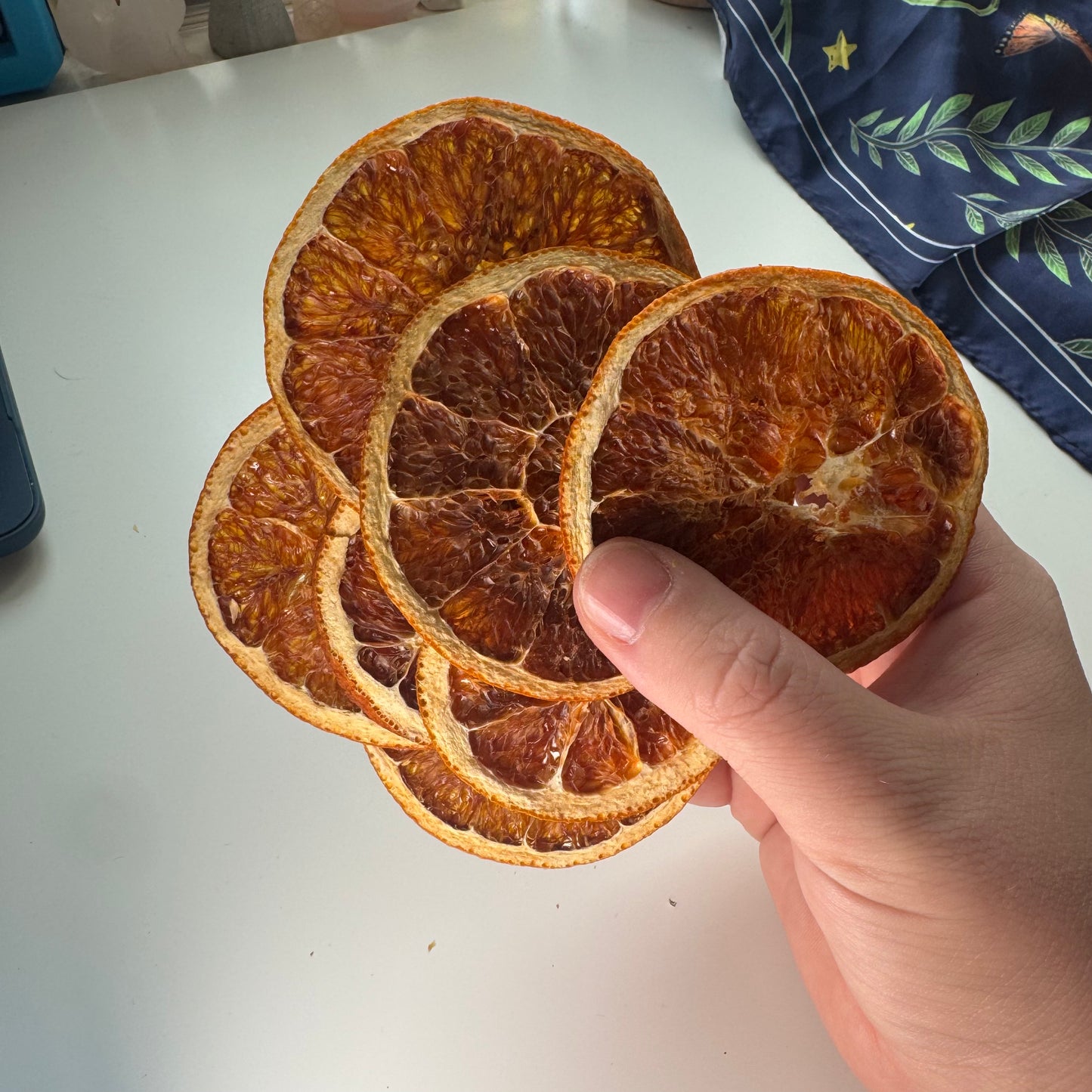 Dried Orange Slices