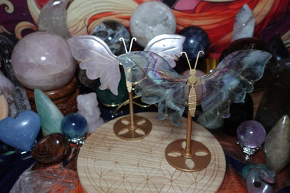 Rose Quartz & Fluorite Butterfly Wing Carvings