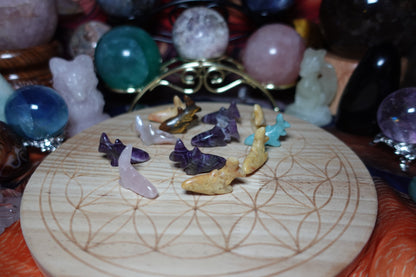 Shark/Fish Mini Carvings - Amethyst, Crazy Lace, Rose Quartz, Flower Agate, Amazonite