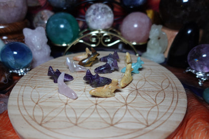 Shark/Fish Mini Carvings - Amethyst, Crazy Lace, Rose Quartz, Flower Agate, Amazonite