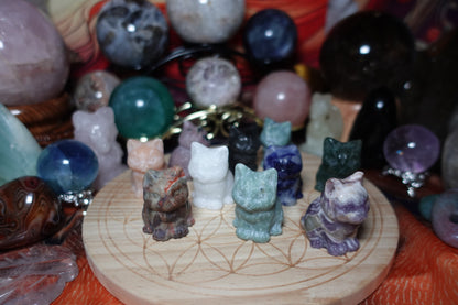 Cat Carvings