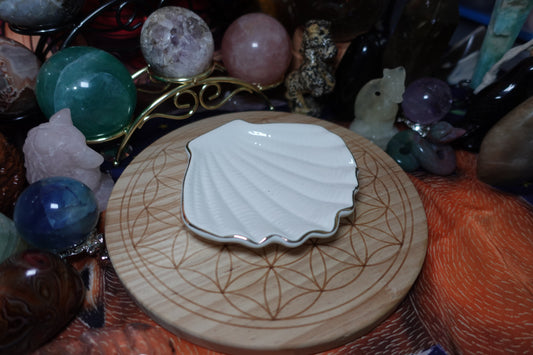 Shell Plate
