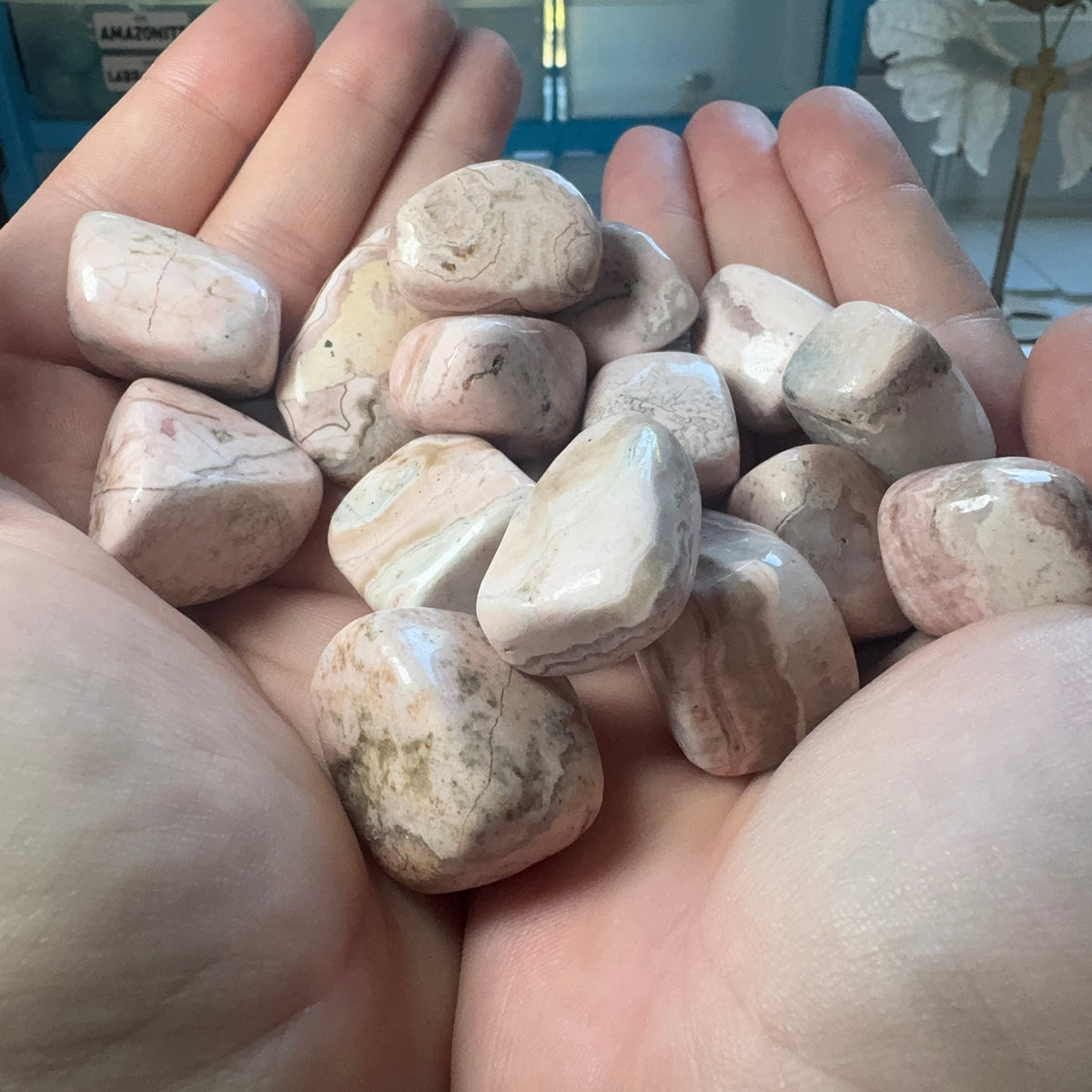 Tumble Collection