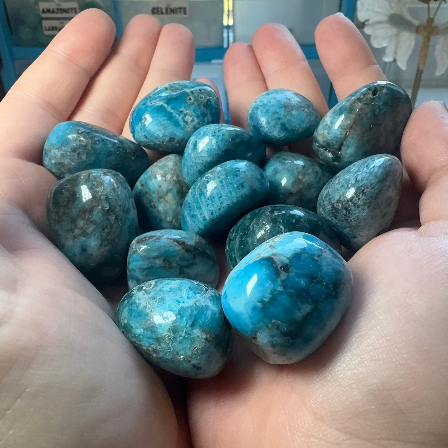 Tumble Collection