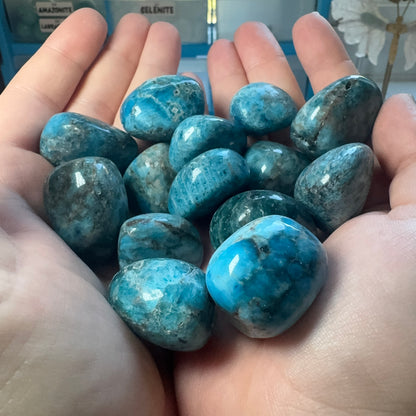 Tumble Collection