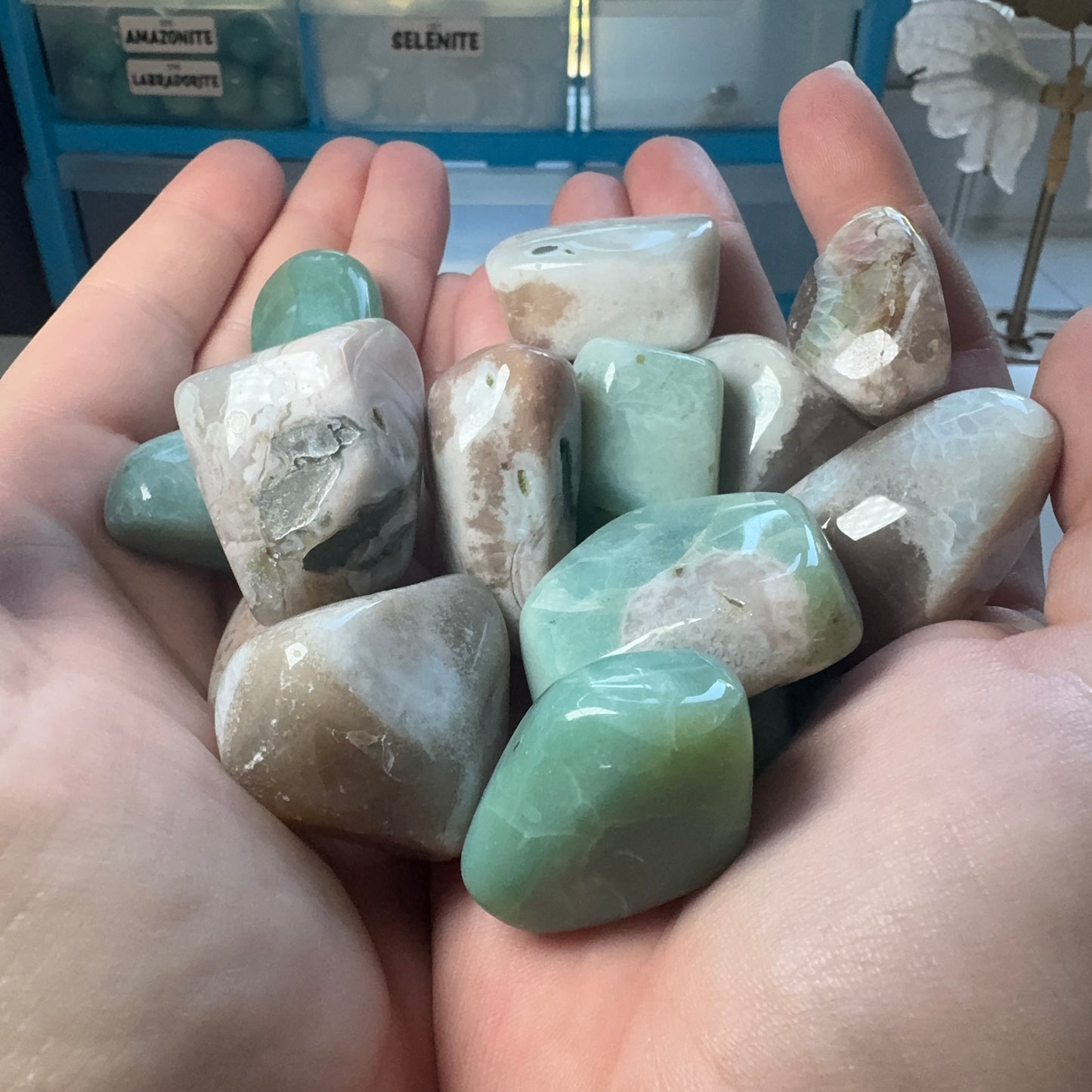 Tumble Collection