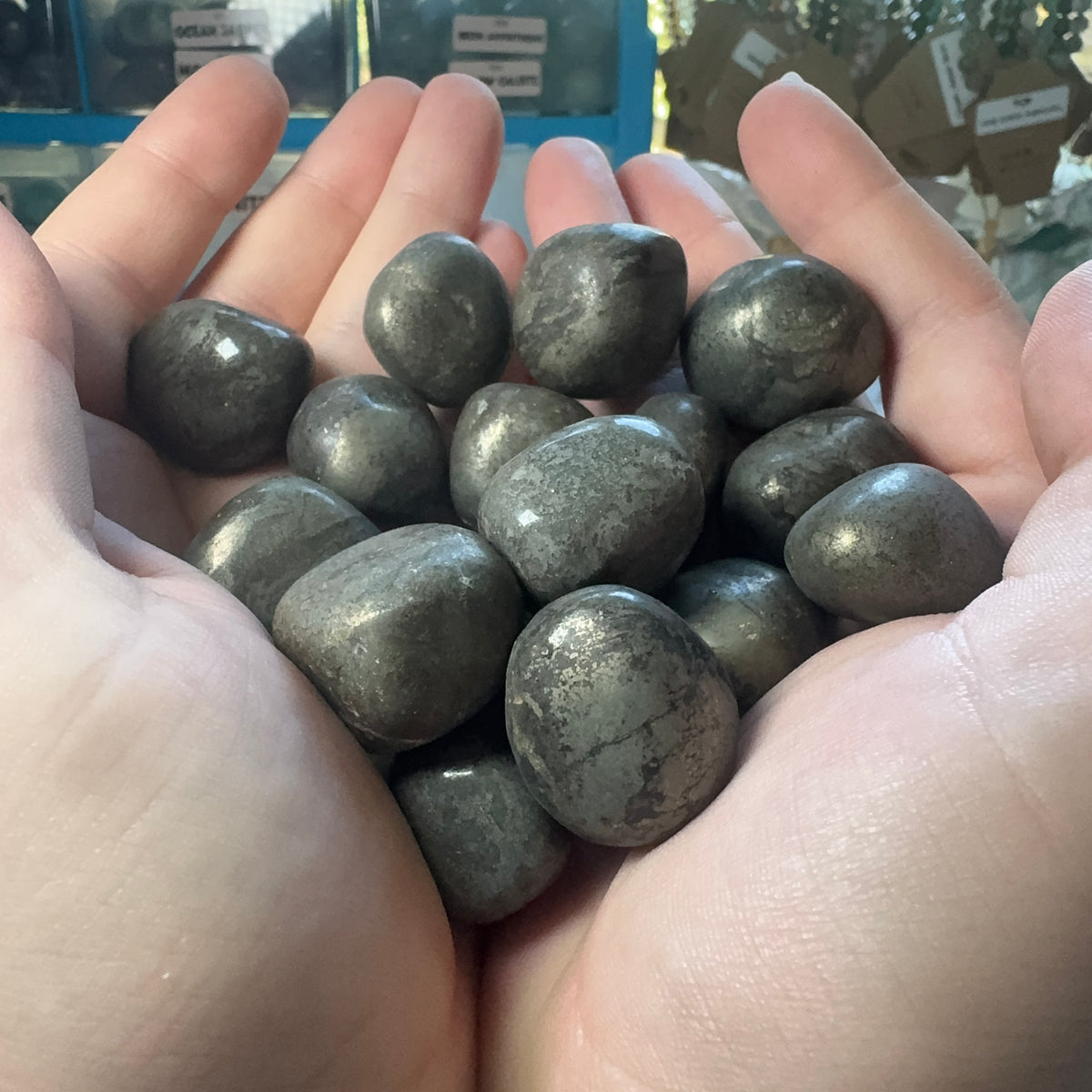 Tumble Collection