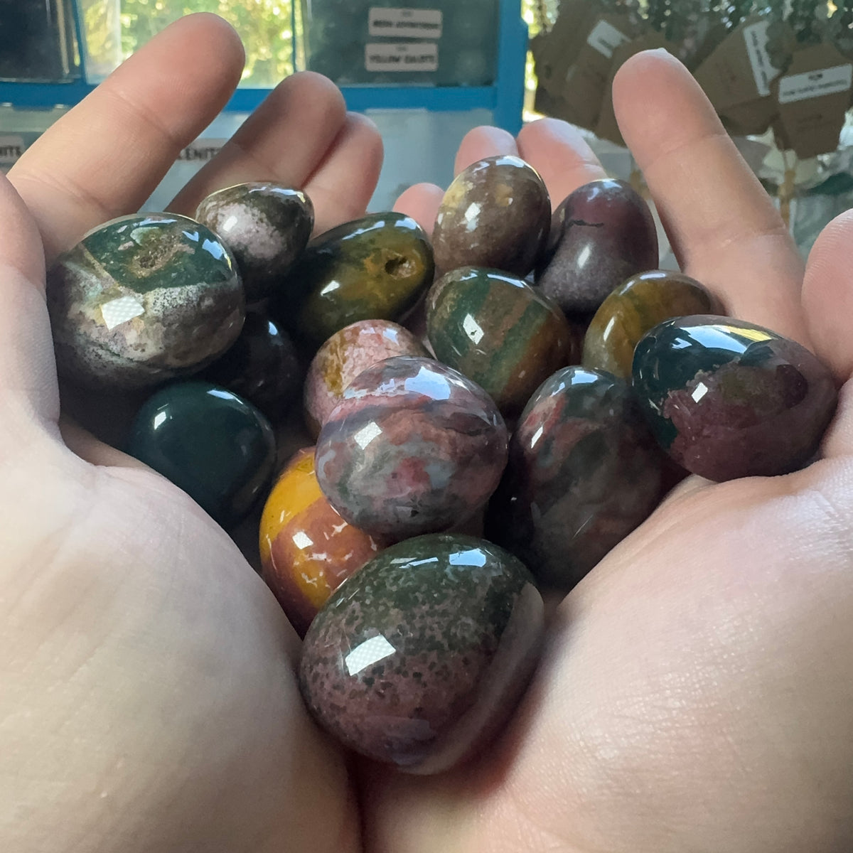 Tumble Collection