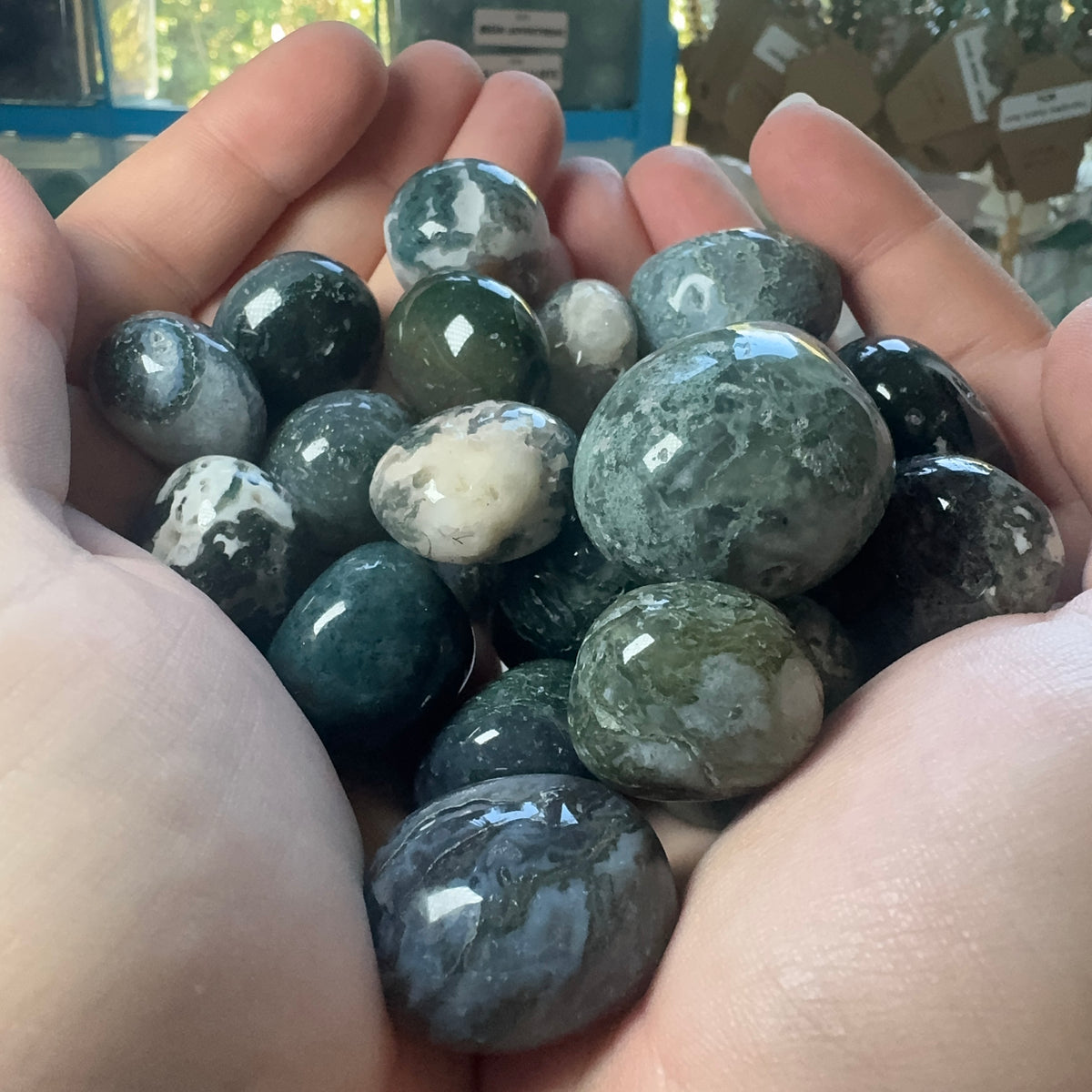Tumble Collection