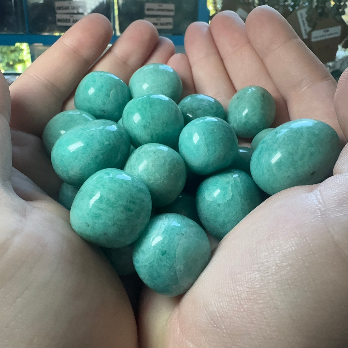 Tumble Collection
