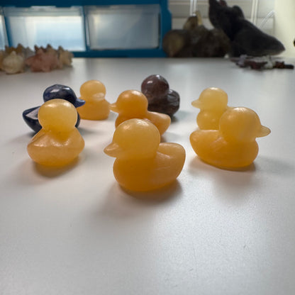 Mixed Carvings - Ducks, Sharks, Turtles, Rabbits