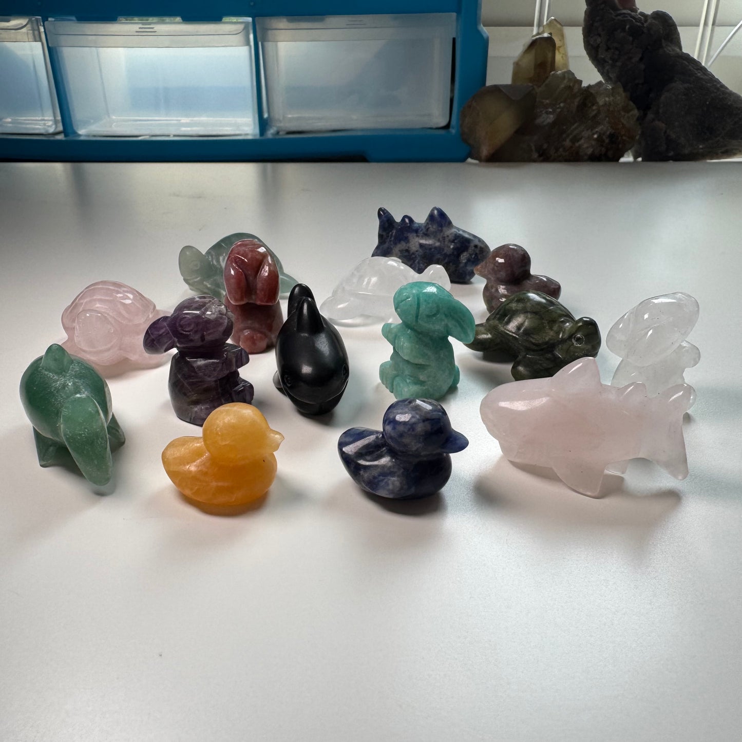 Mixed Carvings - Ducks, Sharks, Turtles, Rabbits